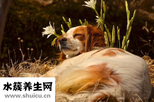 神经衰弱有什么症状