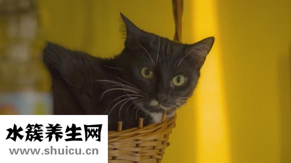 干眼症没觉得怎么样