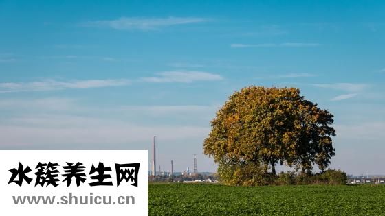 什么叫环境