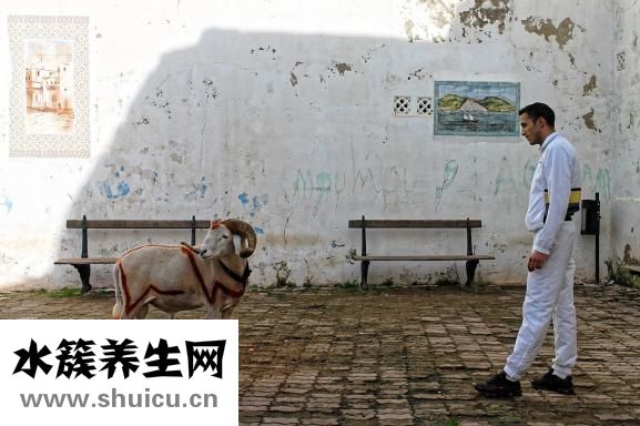 宁夏男人怎么样