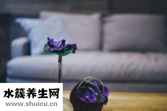 过敏性皮炎如何治疗