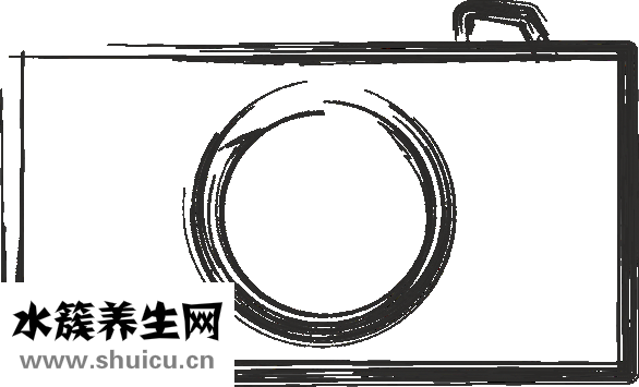美裕珍珠怎么样