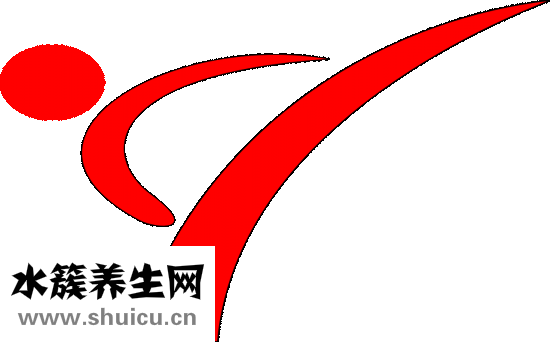 如何健康快速减肥