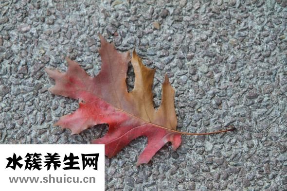 红血丝怎么祛除
