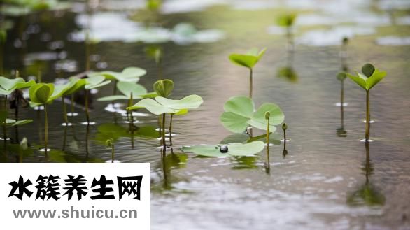 水上加油不是绝对的只是个人体质不同