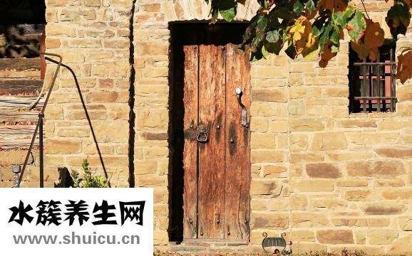 地沟油是什么做的