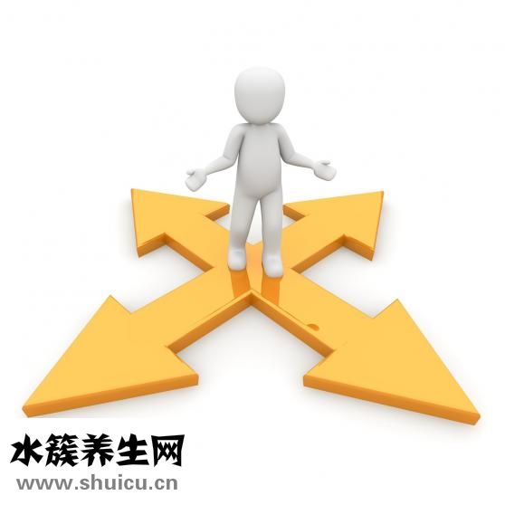 发展方向怎么写