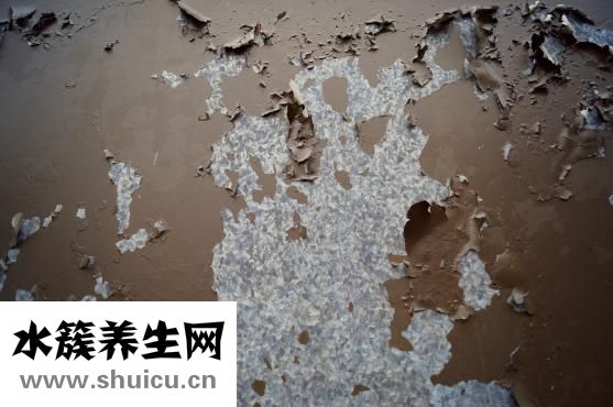 华佗古皂怎么样
