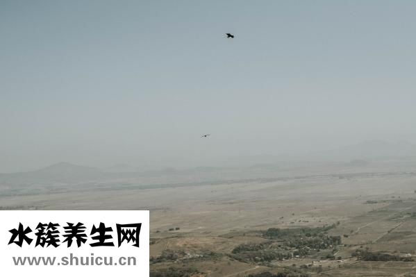 怎么让细菌存活？首先要避免接触致病菌！