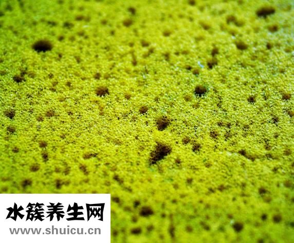 什么锁没有孔