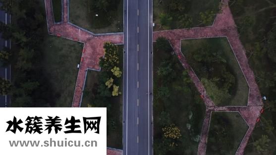 去仟丝缘工作怎么样