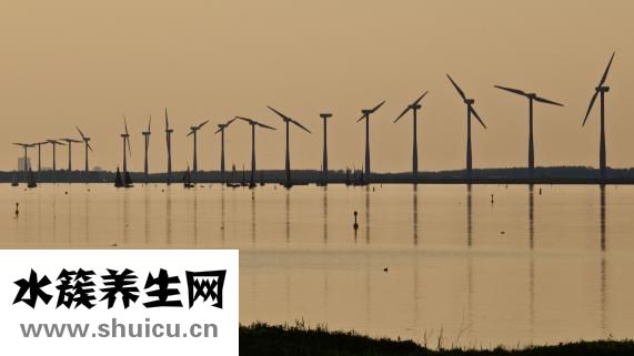 心绞痛吃什么好