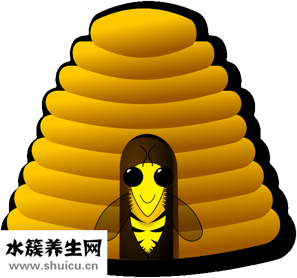 万事达蜂蜜怎么样