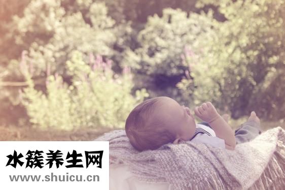 三多奶蛋白怎么样