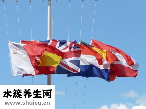 贫血的人吃什么