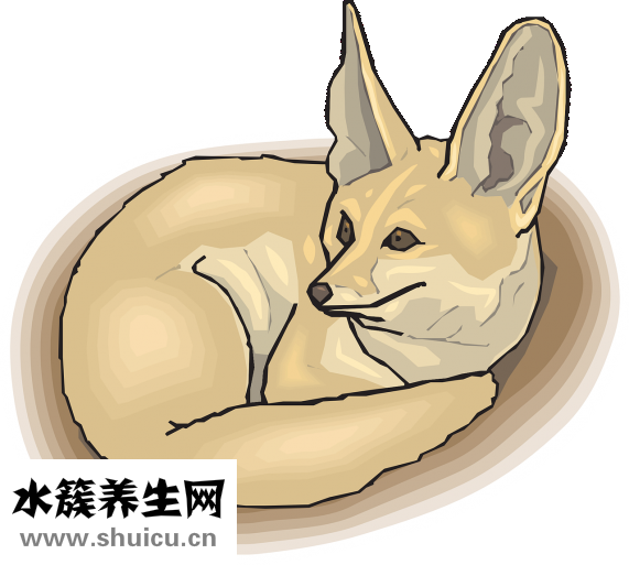 地沟油是什么做的