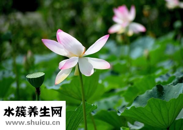 挂号信怎么收