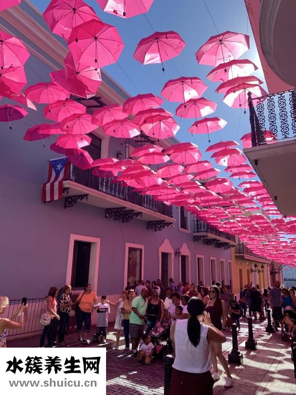 白云豆轻身丸怎么样