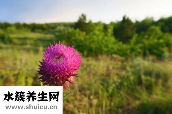 怎么减肥丰胸