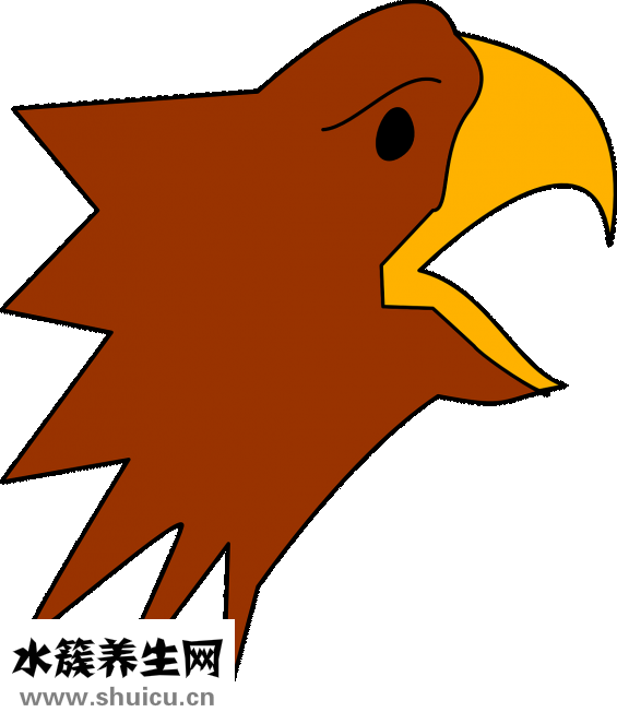 怎么样给头发补水
