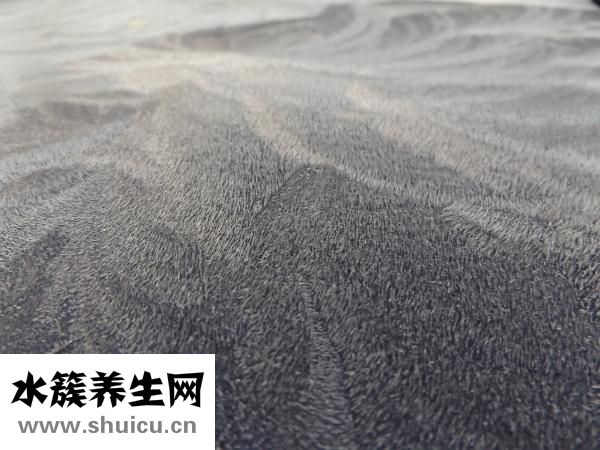 蜂胶祛疤凝胶怎么样