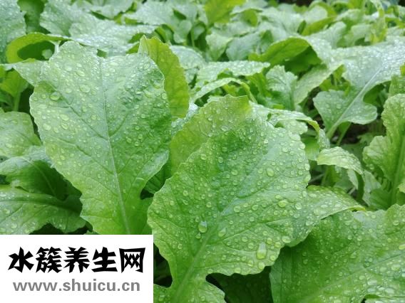 孕妇怎么保养皮肤