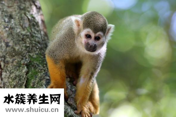 被狗狗咬了怎么办