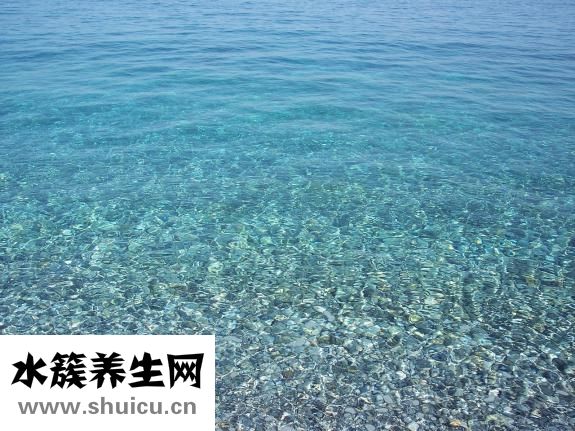 地贫是什么