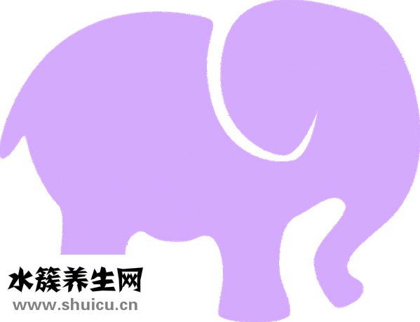 三多奶蛋白怎么样