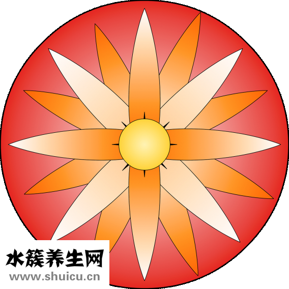 圆脸剪什么发型好看