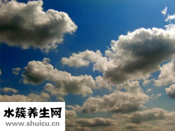 伯特莱怎么样