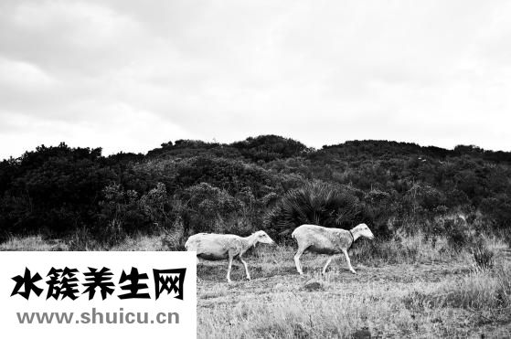 宁夏男人怎么样