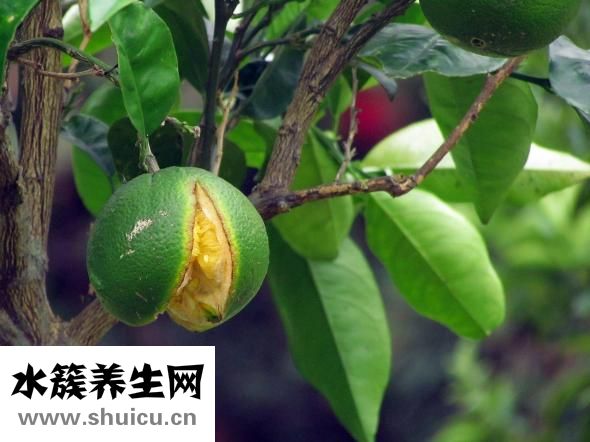 醉酒后怎么办