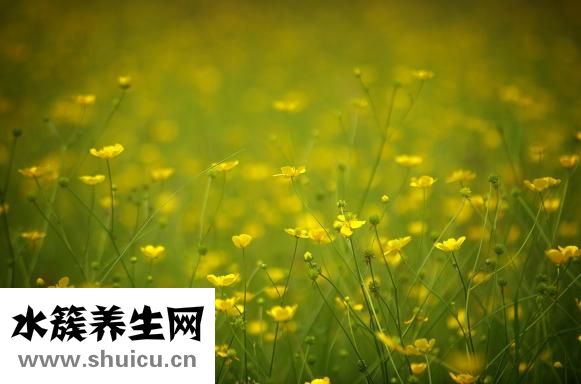 三原县怎么样