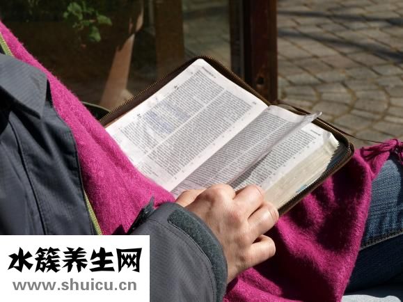 卫衣是什么
