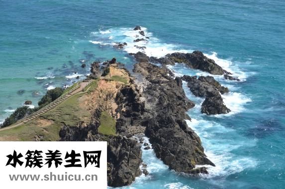 澳州鱼油怎么样