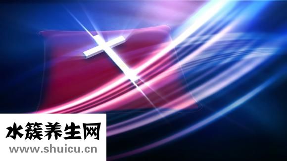 真伊单磊怎么样