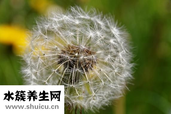 神经衰弱有什么症状