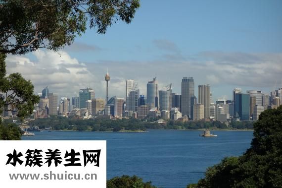 澳州鱼油怎么样