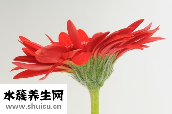 情人节送包怎么样