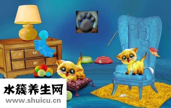 从头开始生发怎么样