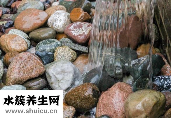 牛乳经乳酸菌发酵制成纯天然奶健康保健食品
