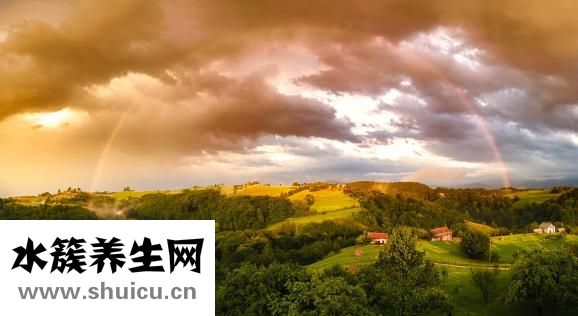 怎么样可以减肥啊