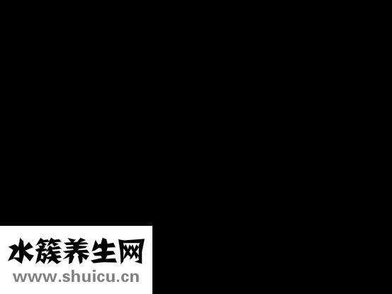 大鸟是什么