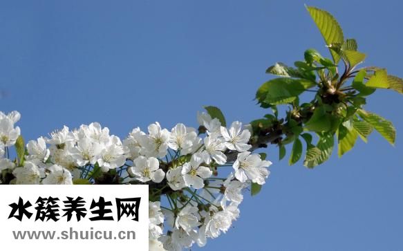 圆脸剪什么发型好看
