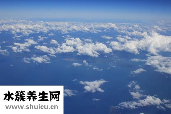 白云豆轻身丸怎么样