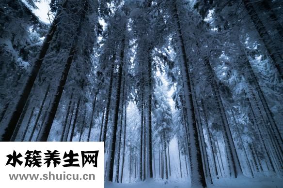 大宋御河怎么样