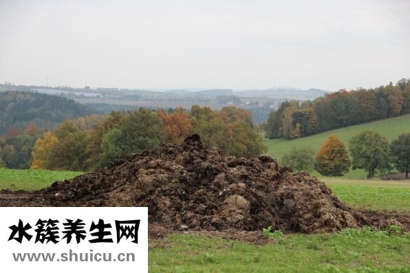 怎么样做肥料