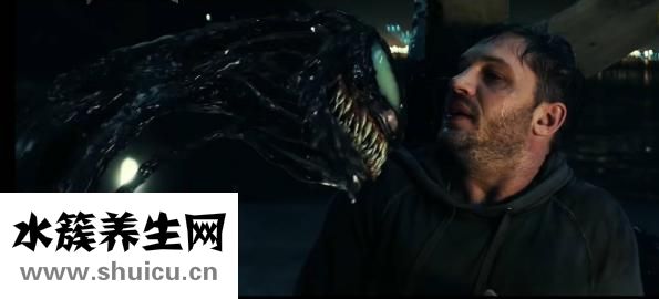 毒蜂中端怎么样