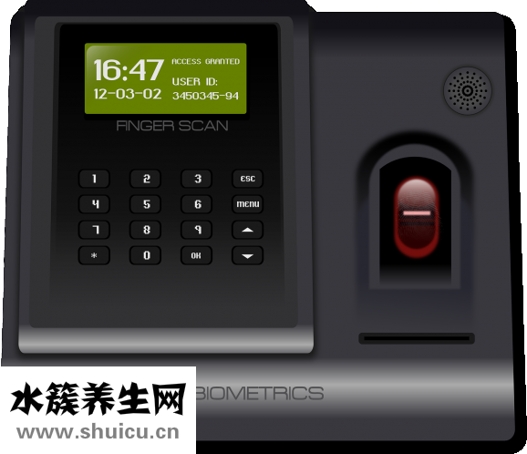 美裕珍珠怎么样